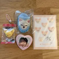 straykids アイエン フォクシニー まとめ売り