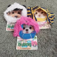 Item thumbnail for item 858fc138-5460-40fb-ae11-e9997d131a57