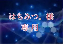 【はちみつ。様専用】