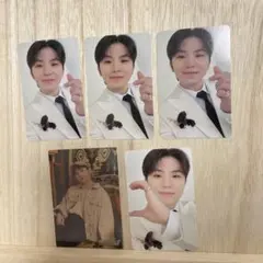 seventeen ウジ　いろいろセット