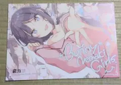 2026年最新】青ブタ サイン 本の人気アイテム - メルカリ