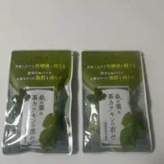 匿名配送・送料無料】和漢の森 桑の葉 & 茶カテキンの恵み 120粒入 ×2