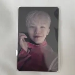 ウジ ポップアップ ラキドロ