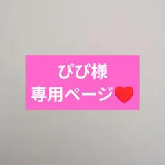 ぴぴ様専用ページ