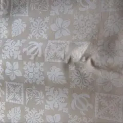 Item thumbnail for item b5985fa7-b05e-4ae1-92a5-847c1539c352