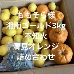 ももそら様不知火＆湘南ゴールド詰め合わせ