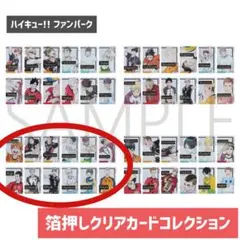 ハイキュー!! ファンパーク 箔押しクリアカードコレクション 12枚セット