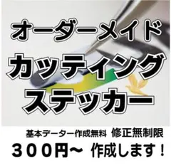 オーダーカッティングステッカー　ひーちゃん☆プロフ必読！様