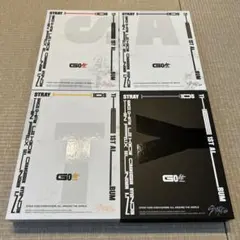 スンミン　サイン入りCD IN生 Stray Kids GO生 スンミン 直筆サイン入りCD - メルカリ