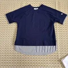 Arnold Palmer 半袖Tシャツ ネイビー ストライプ