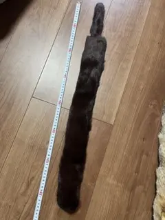 Item thumbnail for item ec769c3f-1440-45fa-a8b0-da08dc6e2040