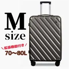 キャリーバッグ【M】 キャリーケース 拡張機能付き スーツケース TSAロック