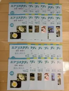 2026年最新】エブリスタディの人気アイテム - メルカリ