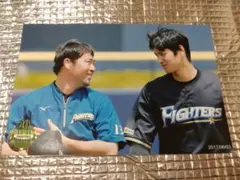 2026年最新】大谷翔平ハイライトフォトの人気アイテム - メルカリ