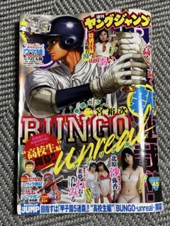 ヤングジャンプ　45号