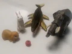 タカラトミーアニア　動物　ゾウ　ワニ　ウサギ　リンゴ　5点セットのサムネイル