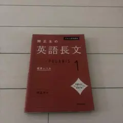 大学入試問題集 関正生の英語長文ポラリス[1 標準レベル]のサムネイル