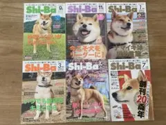 希少】初期Shi-Ba（シーバ） 柴犬専門雑誌 - メルカリ