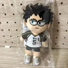 ハイキュー!! ハイキュープラザ ジロリ ぬいぐるみ　赤葦京治 マスコット