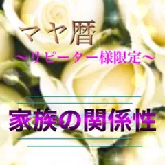 ◇リピーター様限定◇‎⋆✦家族の関係性‎⋆✦ マヤ暦 鑑定書 占い 鑑定