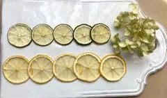 春‪‪☆様専用、ドライフルーツ、No.502、No.504