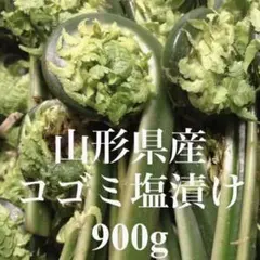 山形県産 コゴミ塩漬け 2kg(1kg×2袋) 塩蔵 こごみ 山菜 野菜 - メルカリ