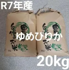 令和7年度 北海道産 ゆめぴりか 白米 20kg (5kg×4) - メルカリ
