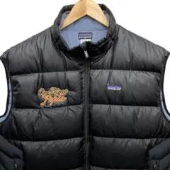 入手困難★Patagonia パタゴニア 馬名 グースダウン ベスト ジャケット