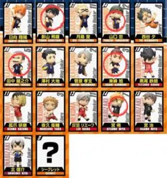 チョコエッグ ハイキュー