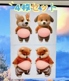 ４枚 Aセット 柴犬のおなか立体ぷにぷにシール