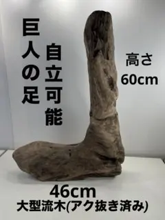 Item thumbnail for item 5661813f-3a82-4ca1-8486-3bca63400243