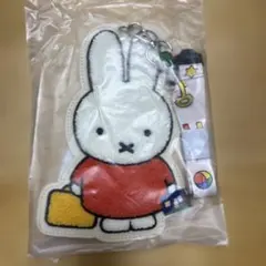 Item thumbnail for item c4f8e2d4-1e18-4554-9221-fcb8d9f17a54