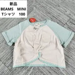 Item thumbnail for item 17cb1019-0de5-4dc1-a9fe-e874090a3470