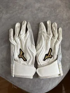 ミズノプロ バッティング手袋 25センチ オーダー