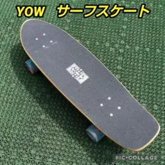 Carver Lost MEYHEM サーフスケート サーフィン スケートボード - メルカリ