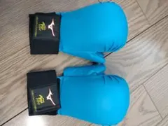 Item thumbnail for item 48ff0082-bc70-48e8-9f8f-615bdc17953b