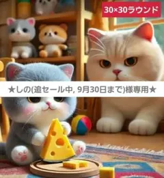 しの(追セール中, 9月30日まで)様 リクエスト 3点 まとめ商品