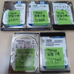 1334 HDD 2.5インチ 1TB 5個 - メルカリ