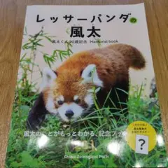 レッサーパンダの風太 風太くん20歳記念