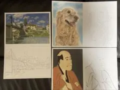 大人の塗り絵3枚セット