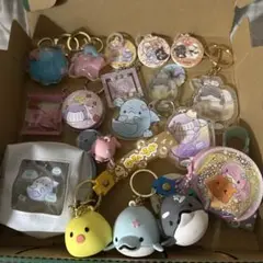 みいるか　ゆるいるか　セット