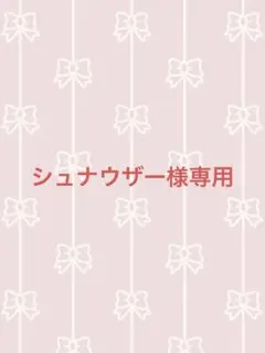 シュナウザー様専用‼️他の方はご購入できません‼️