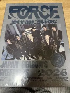 2026年最新】stray kids シーグリの人気アイテム - メルカリ