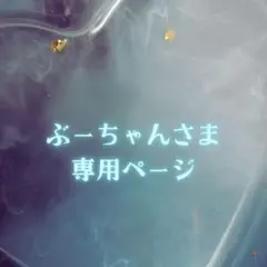 ぶーちゃんさま専用ページ✦.˚
