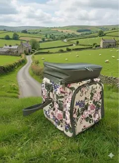 Item thumbnail for item 29053f22-85e7-4c5e-8e21-eedab271b731