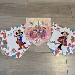 ディズニー　台紙　ミッキーミニー写真つき