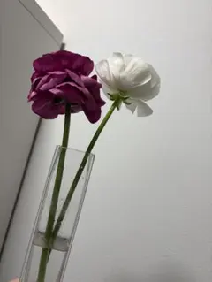 とっしー様 専用