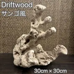 Item thumbnail for item 2a5d623d-4eb4-4015-ab96-1d8c6929225e