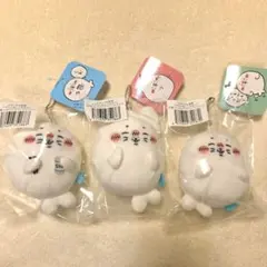 ナガノの水族館 アザラシぬいぐるみくじD賞 ねこ、しお2種セット