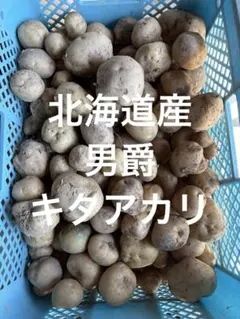 7/27サカエ様米粉バニラチョコチップ生おからクッキー - メルカリ